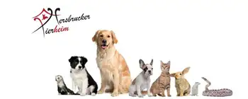Kundenbewertungen Webdesigner Nürnberg hersbrucker tierheim